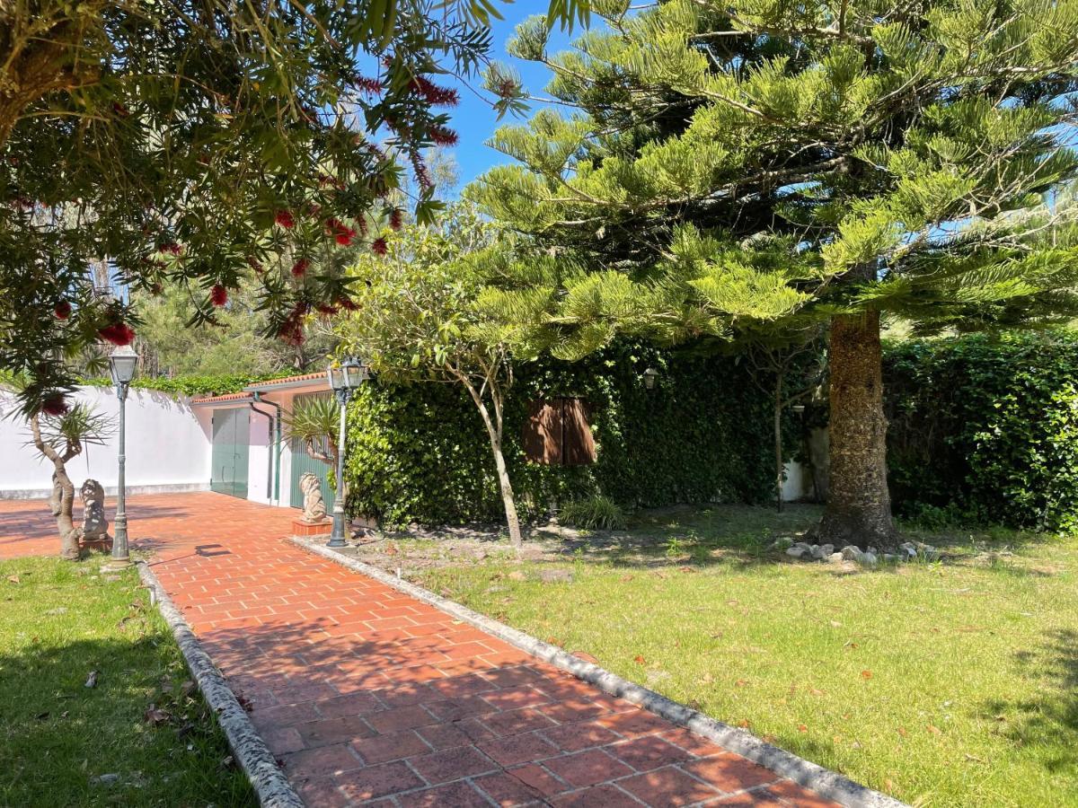 A Quinta Duna Salir de Porto Exteriér fotografie