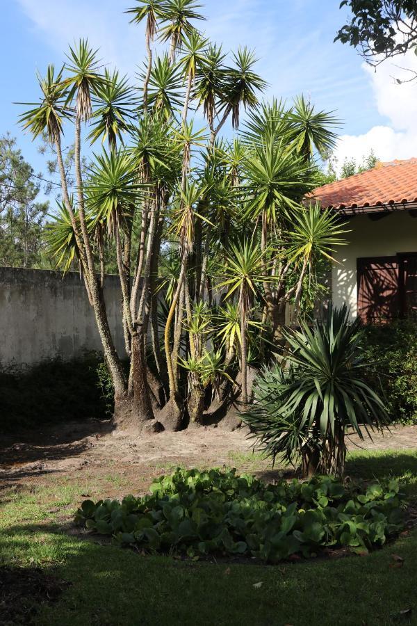 A Quinta Duna Salir de Porto Exteriér fotografie