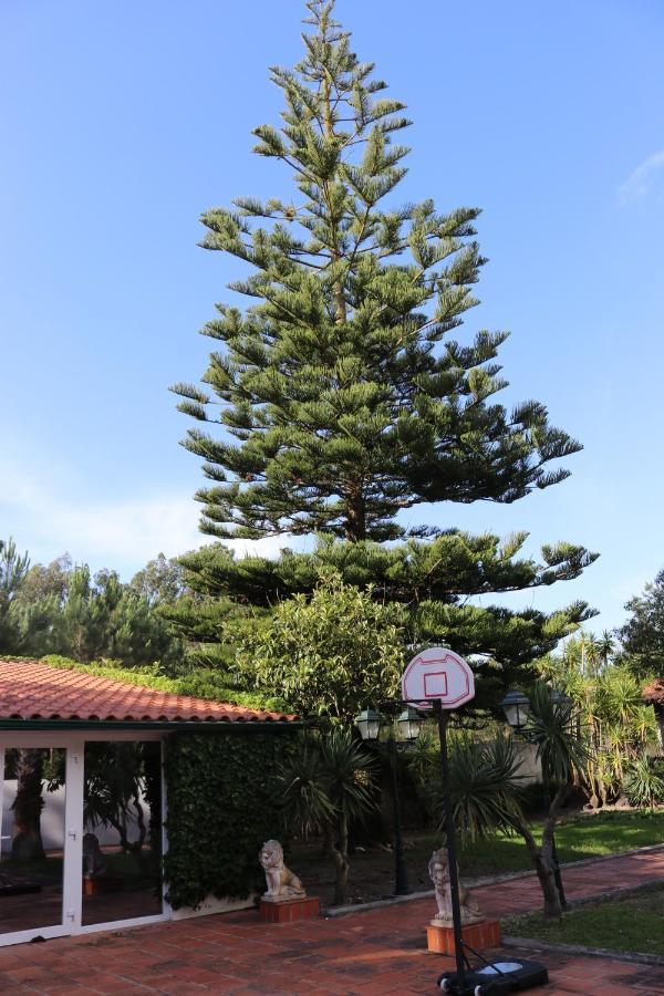A Quinta Duna Salir de Porto Exteriér fotografie